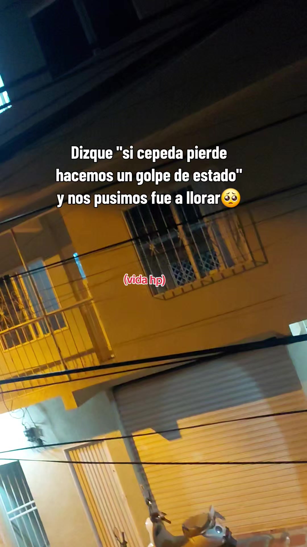 @Carol🦋