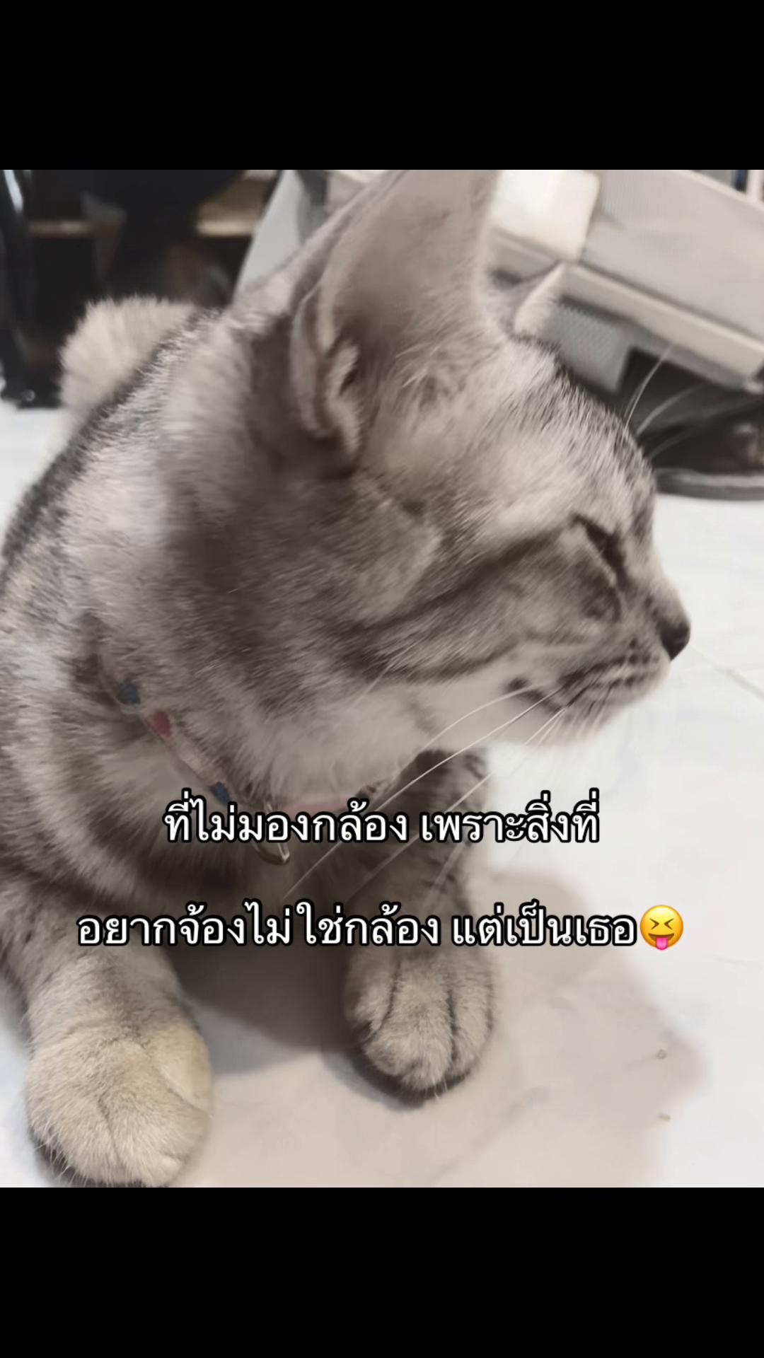@🫵🏻🫶🏻