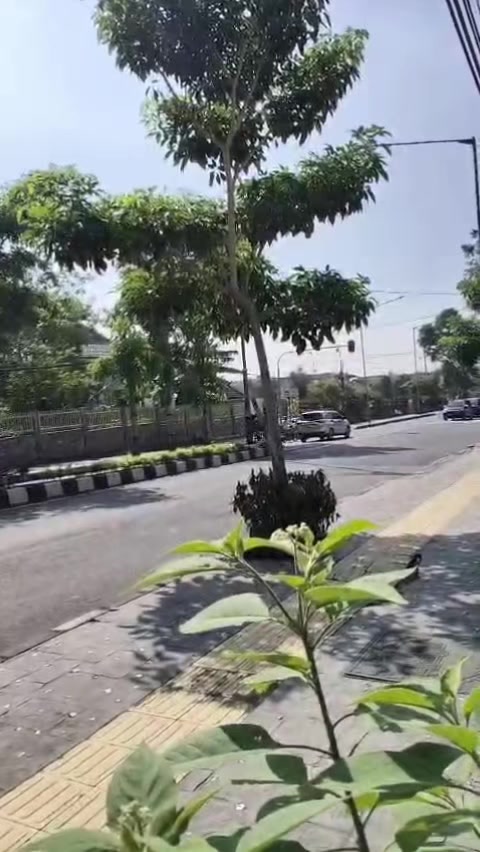 @SANALI okem