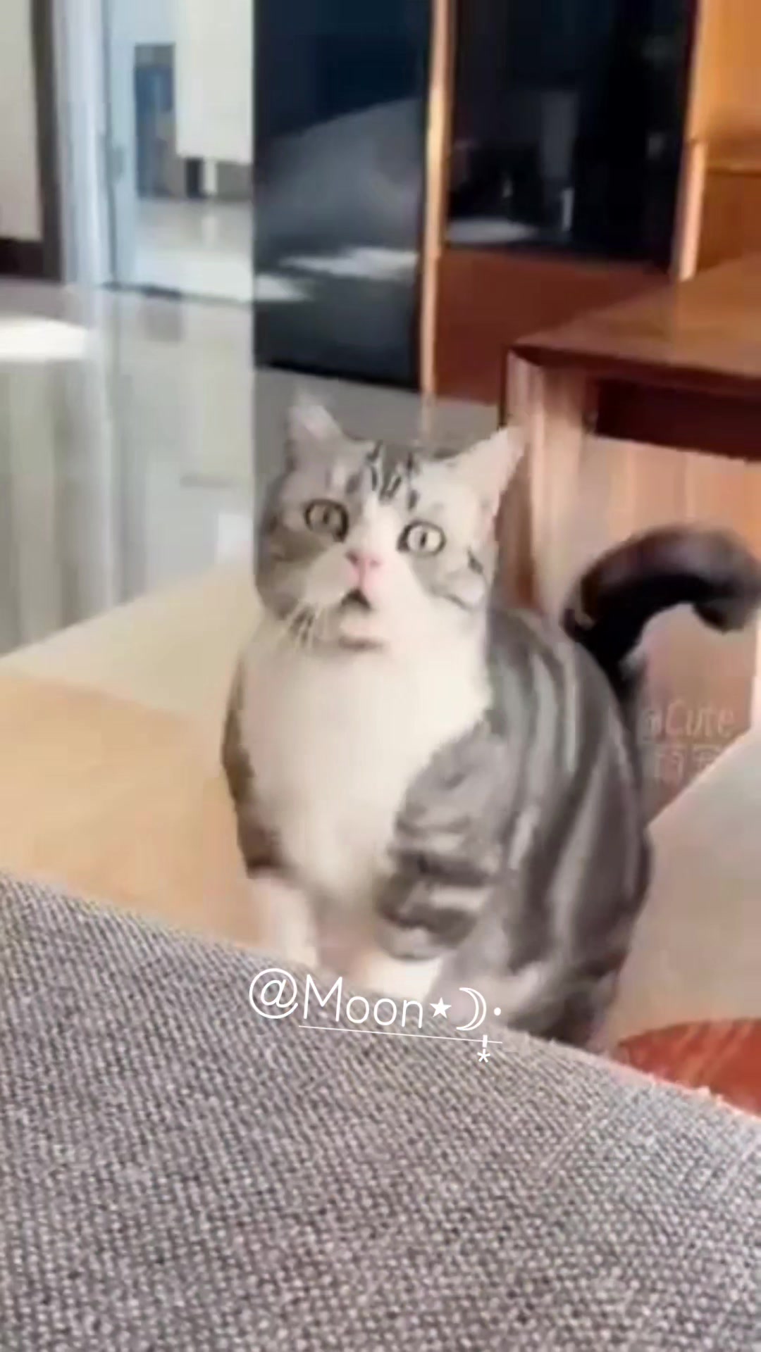 @✩.*˚絶対的ふみルん*˚☆