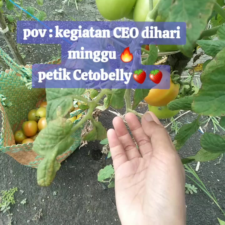 @Isma z.ta