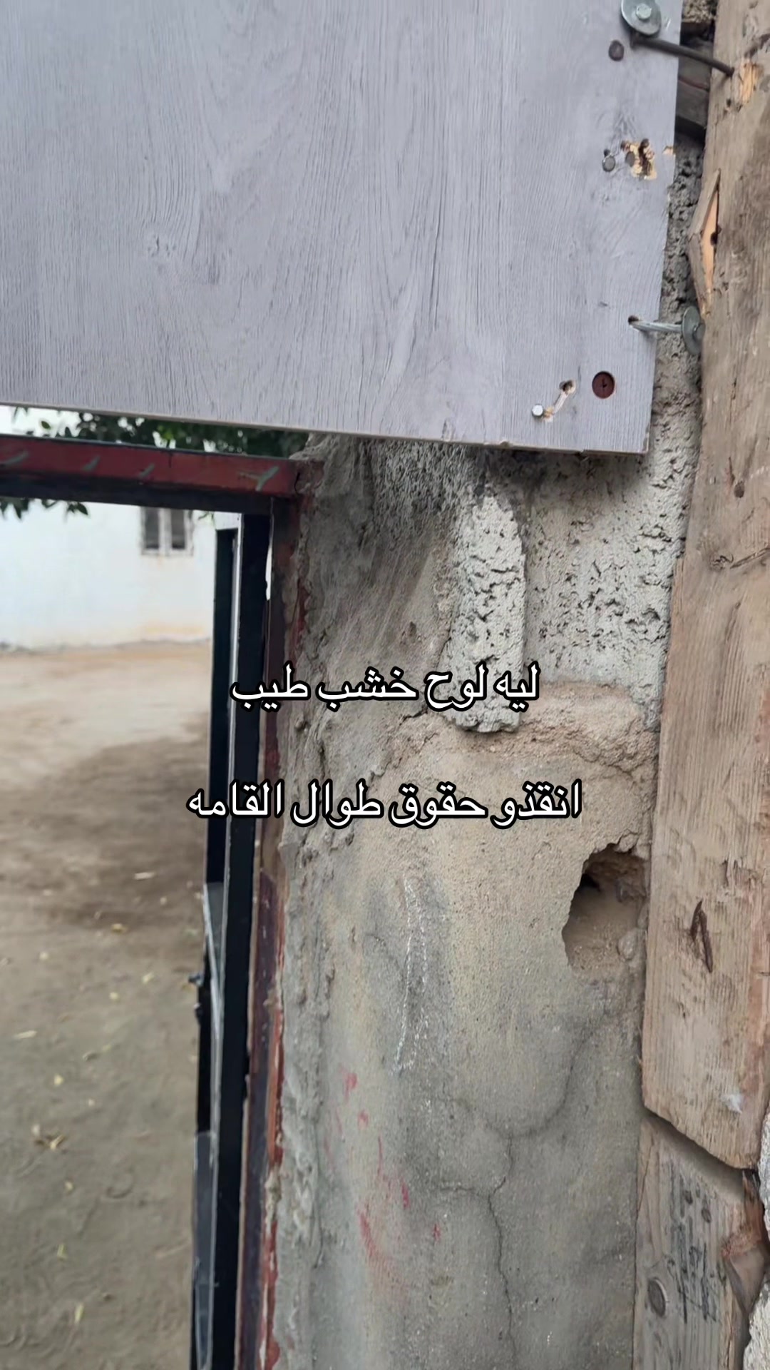 @انسة نجمة | Miss Star