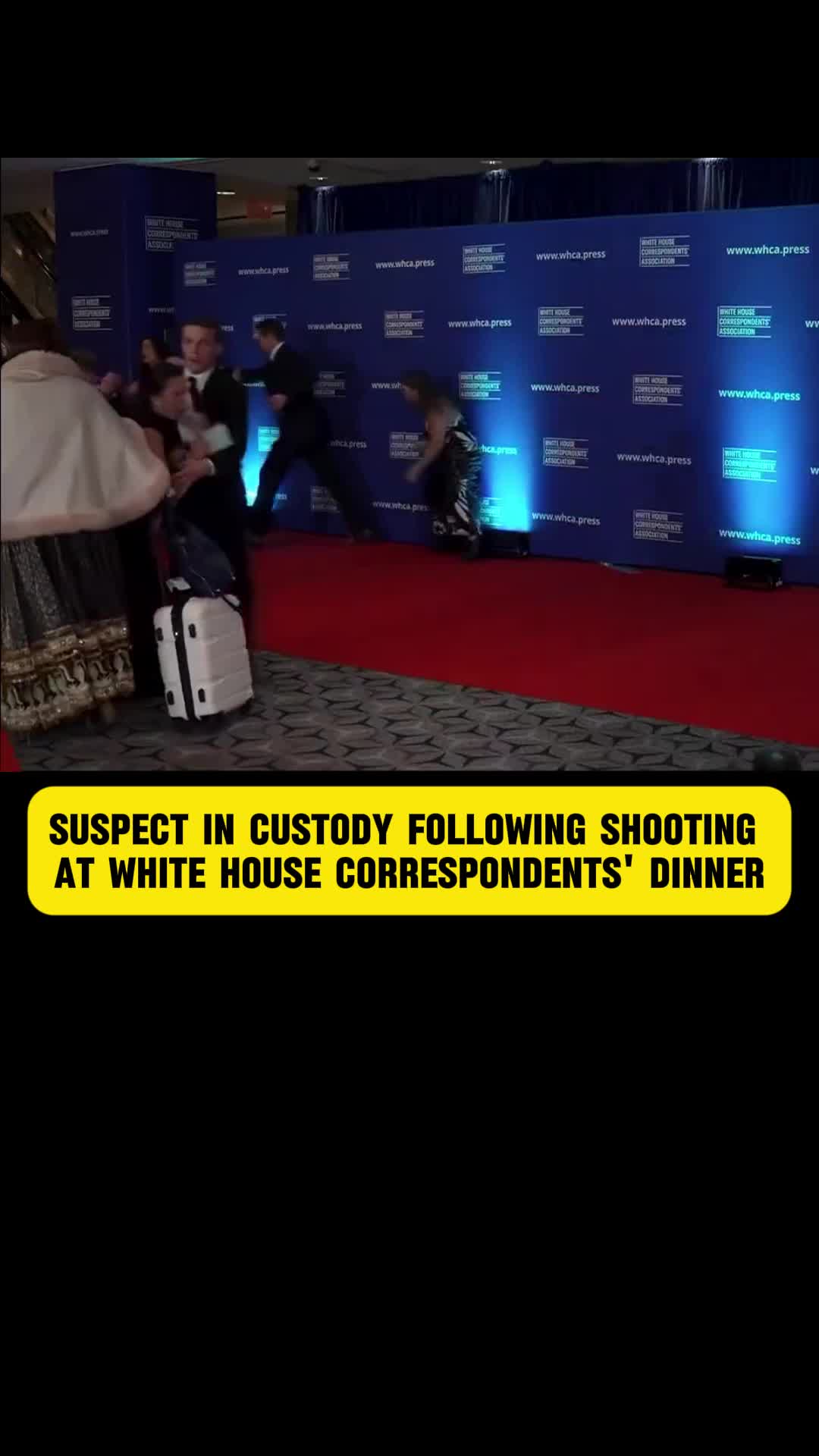 @MAGA_News