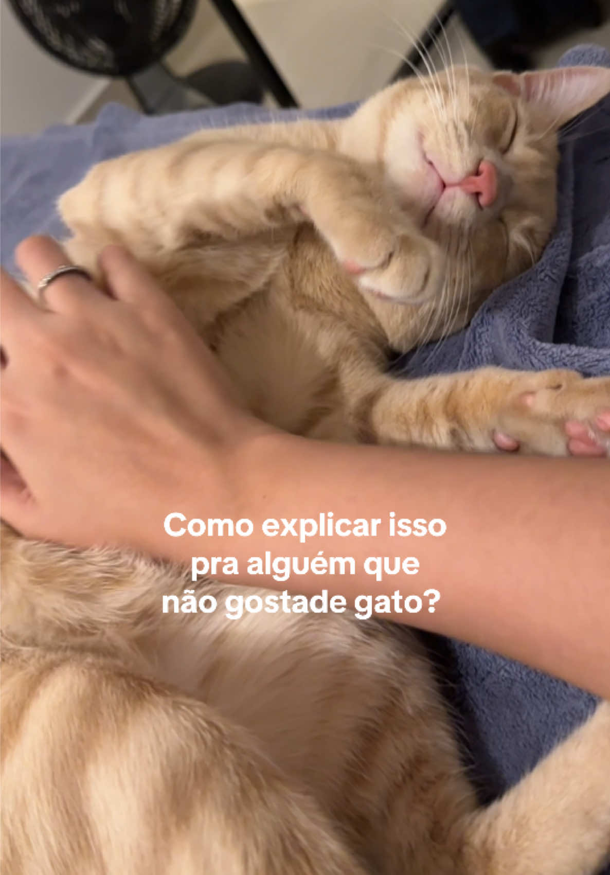 @Mônica Frutuoso