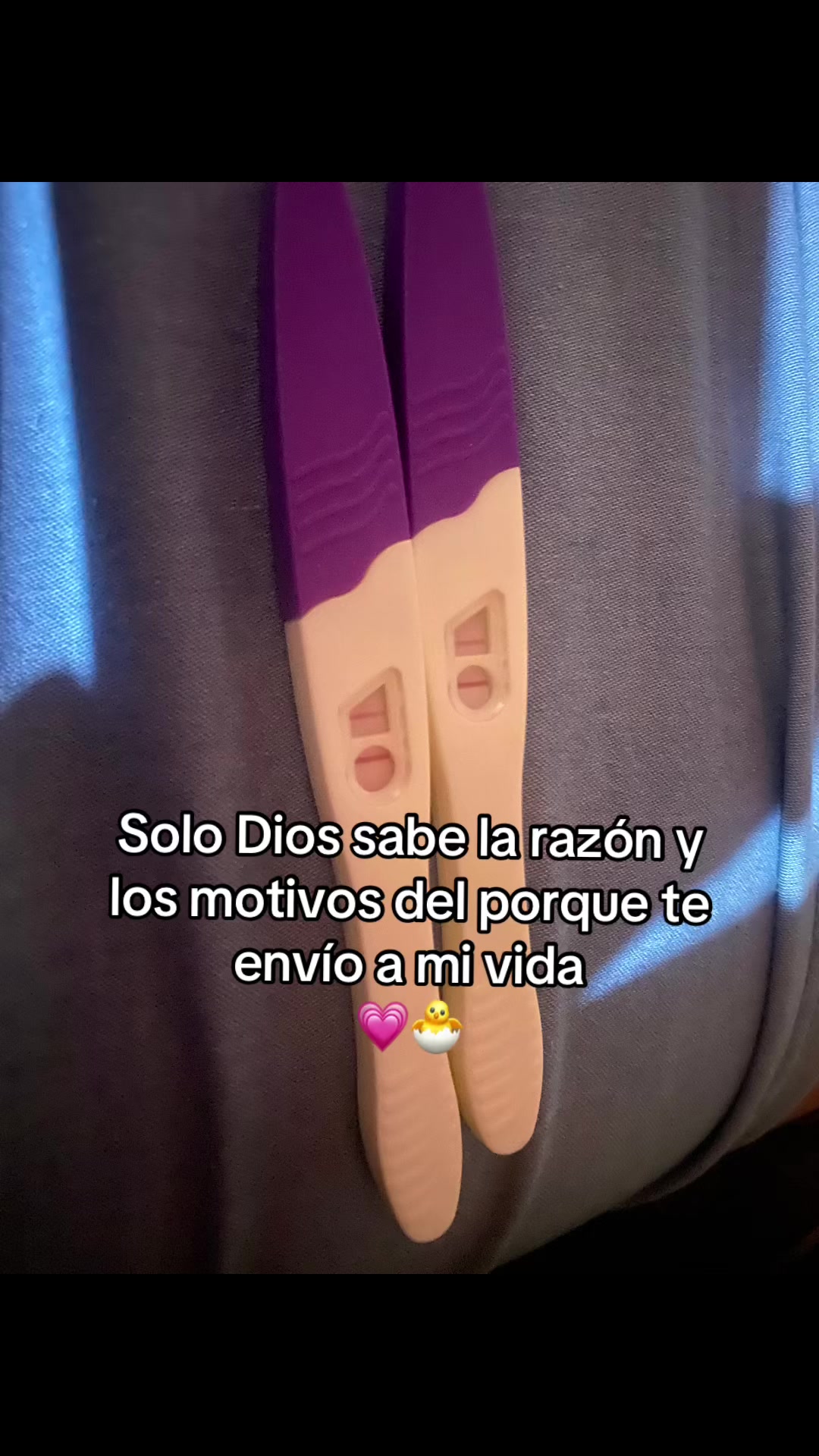 @Liz Alcala