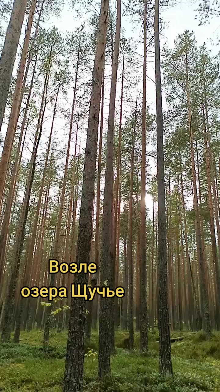 @user2278096979685