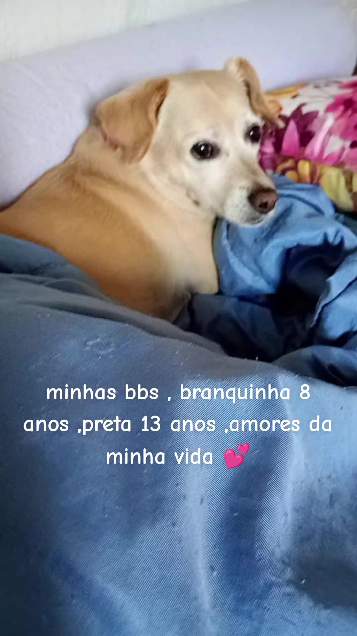 @Iara Brito Brito