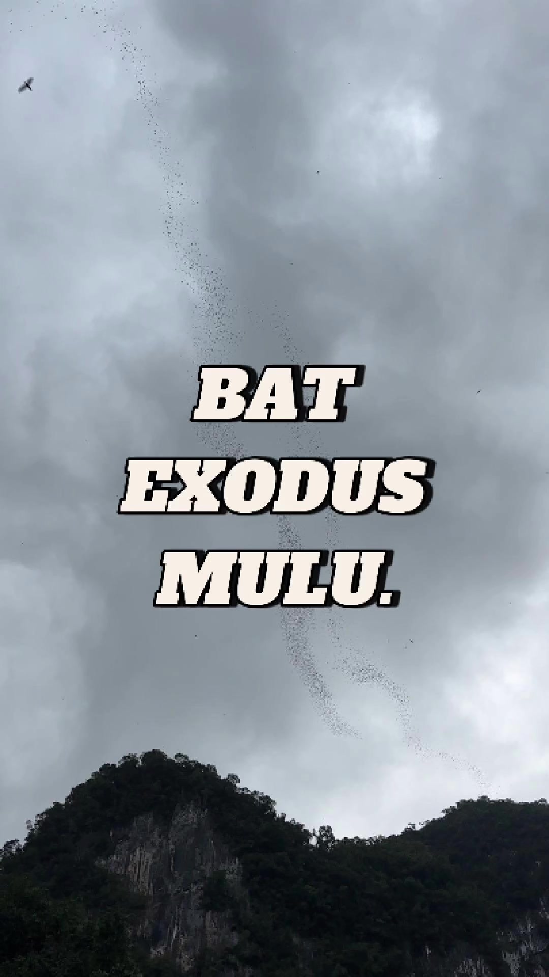 @@_amiruladli