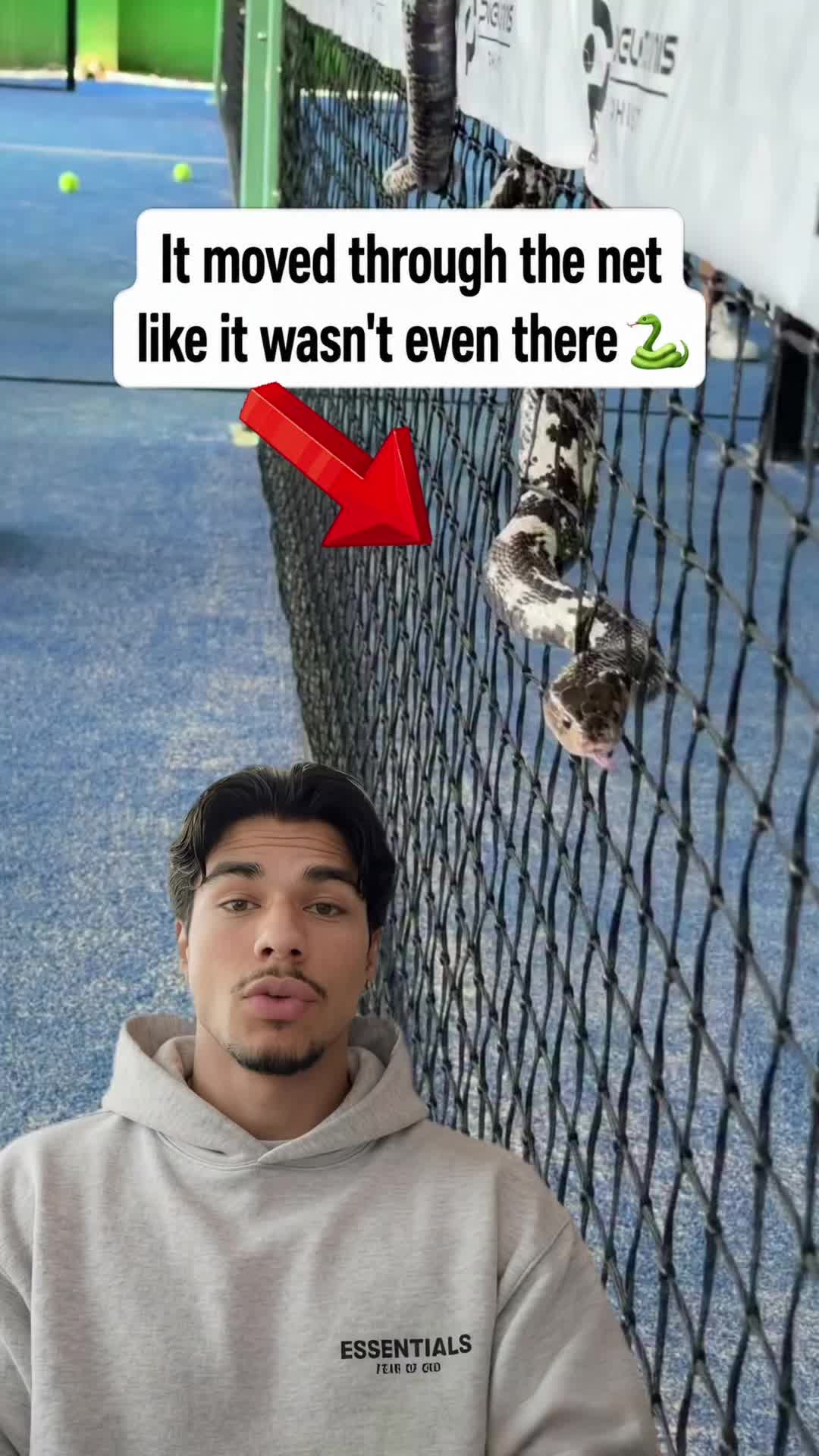 @Animal Code