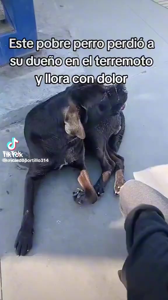 @🖤🖤🖤🖤🖤🖤🖤 🖤🖤