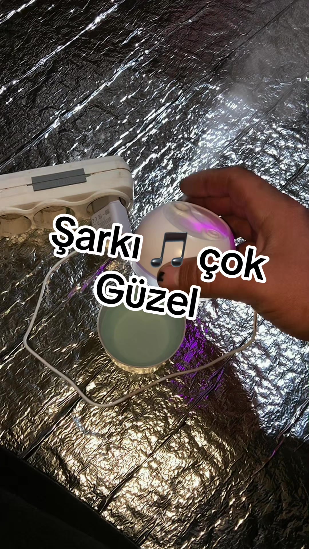 @&Ccedil;etin.Bey