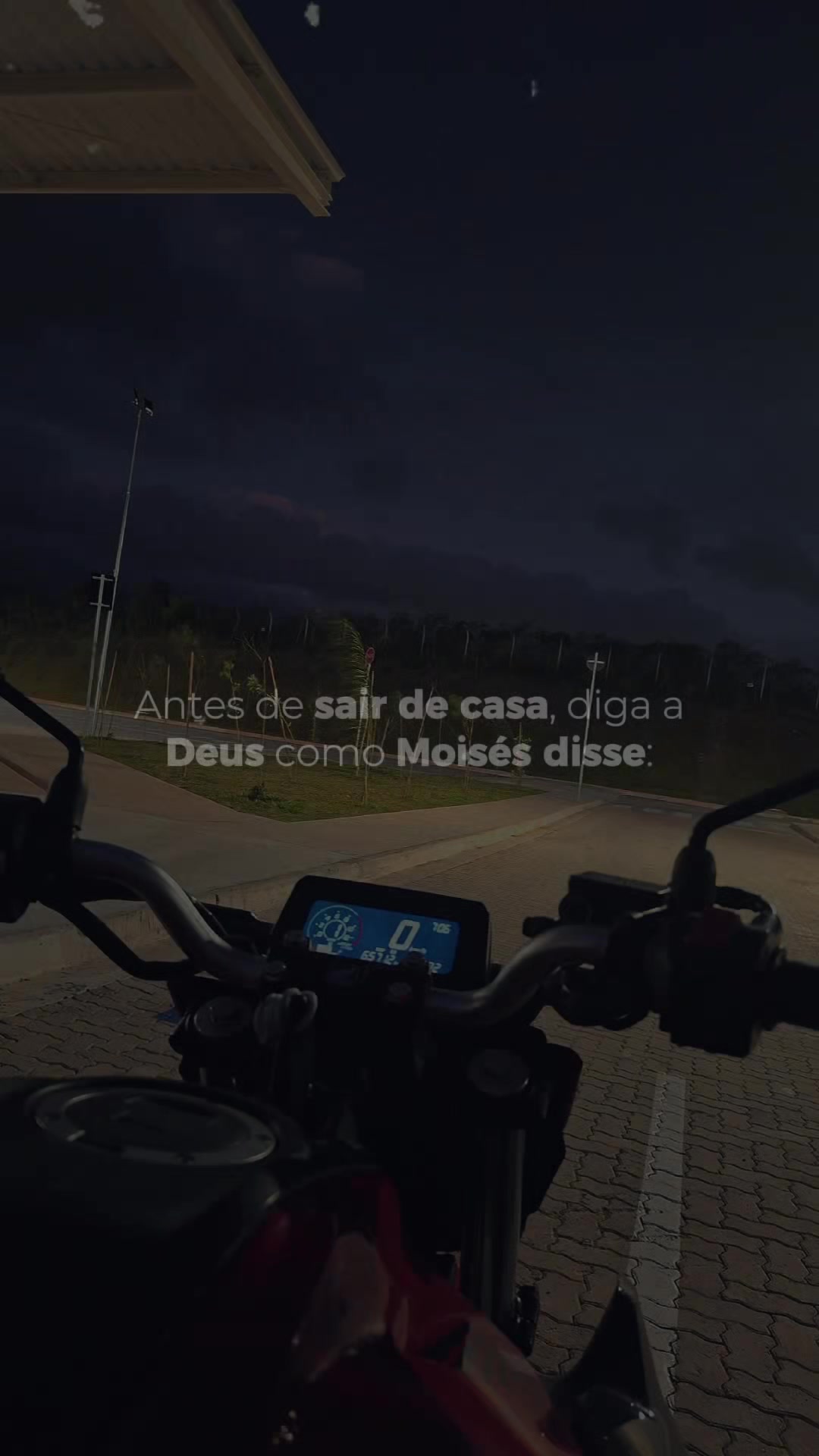 @fernando zaleski'