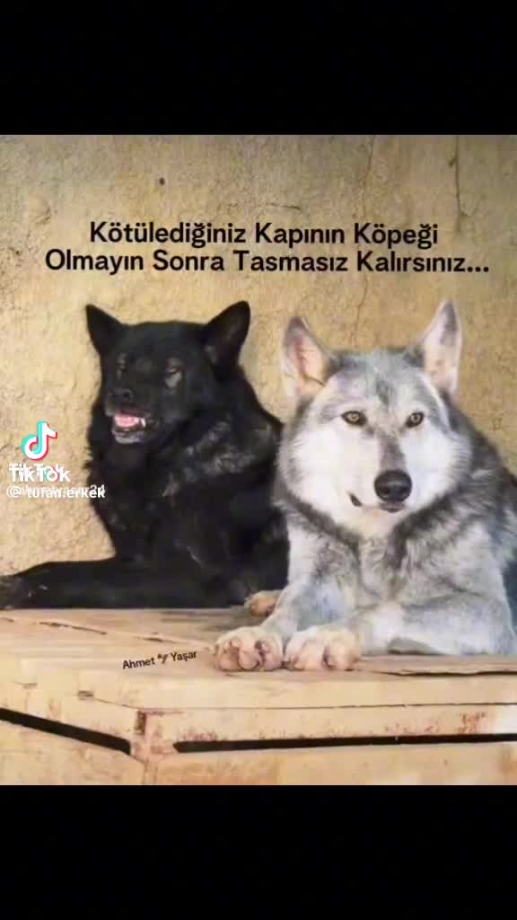 @Ayhan Sena ibrahimHatice Yavaş
