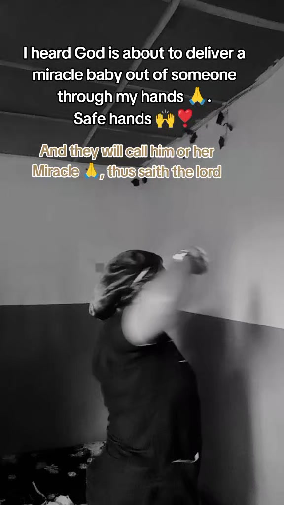 @best_nest.b