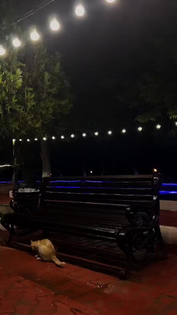@papatyam_085🪽