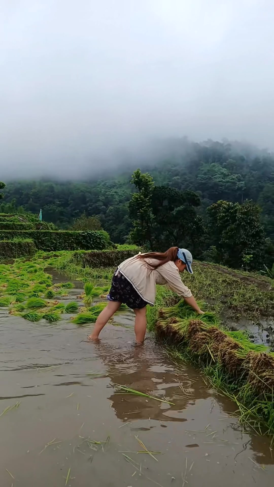 @मनिषा चाम्लिङ्ग राई🦋
