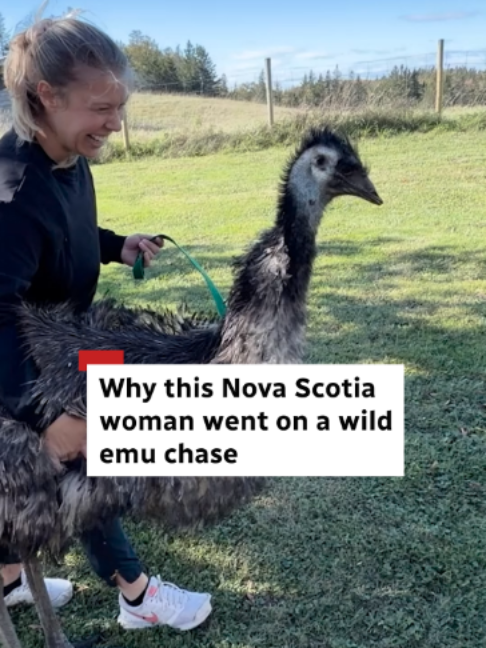 @CBC Nova Scotia