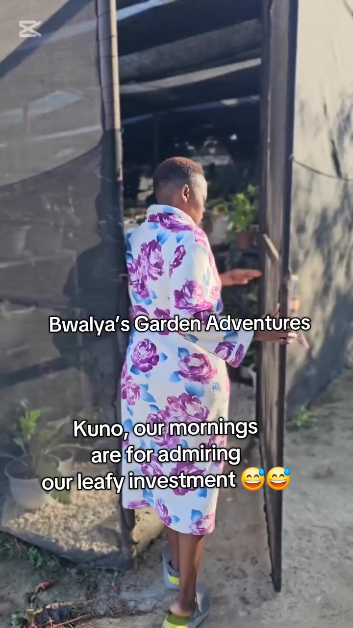 @Bwalya😊