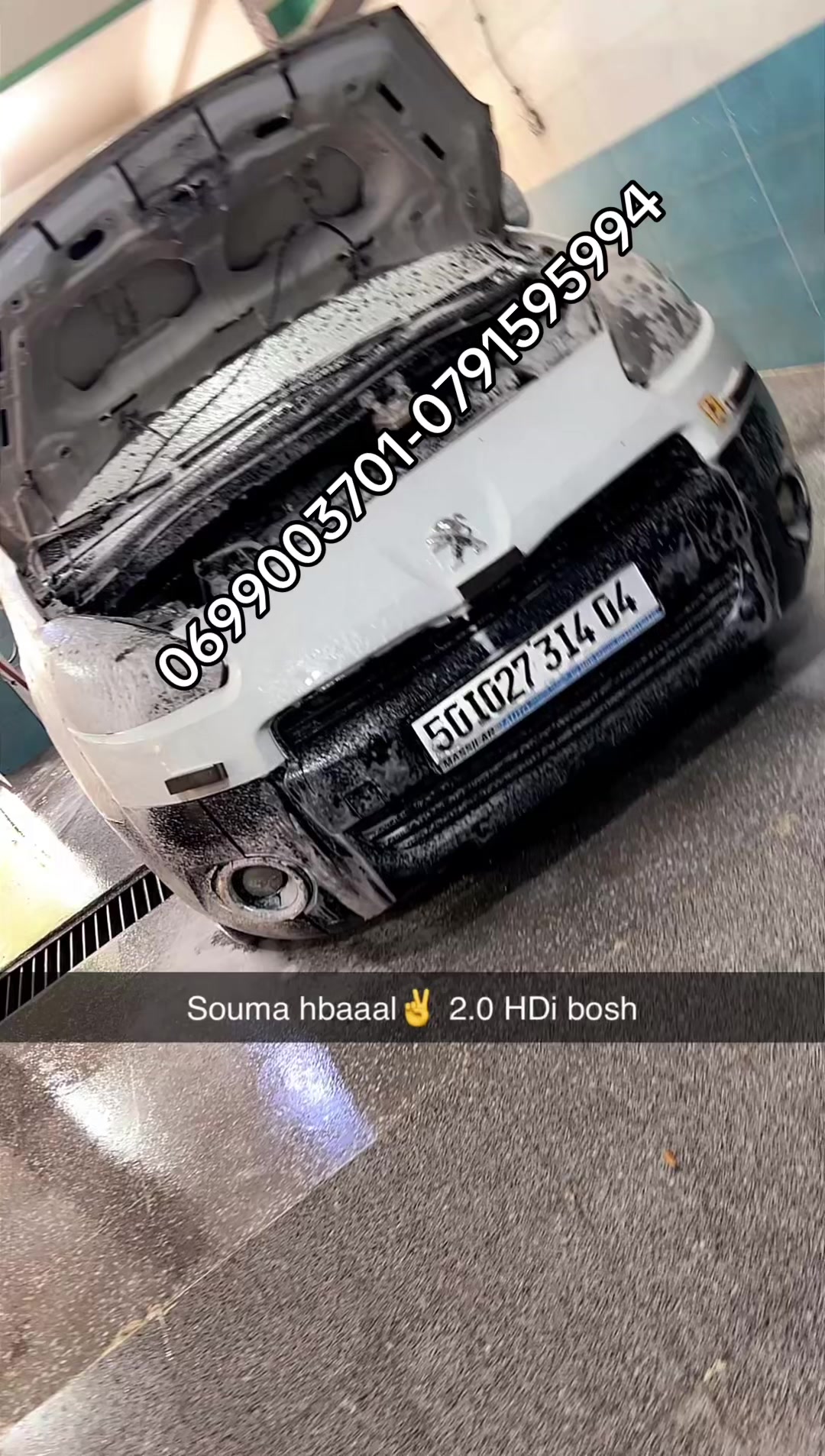 @Mehdi Diar 🇫🇷