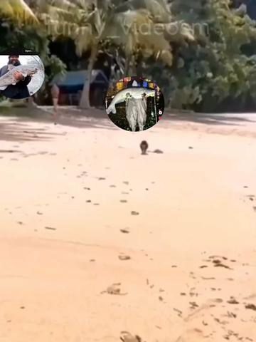 @mack fishing