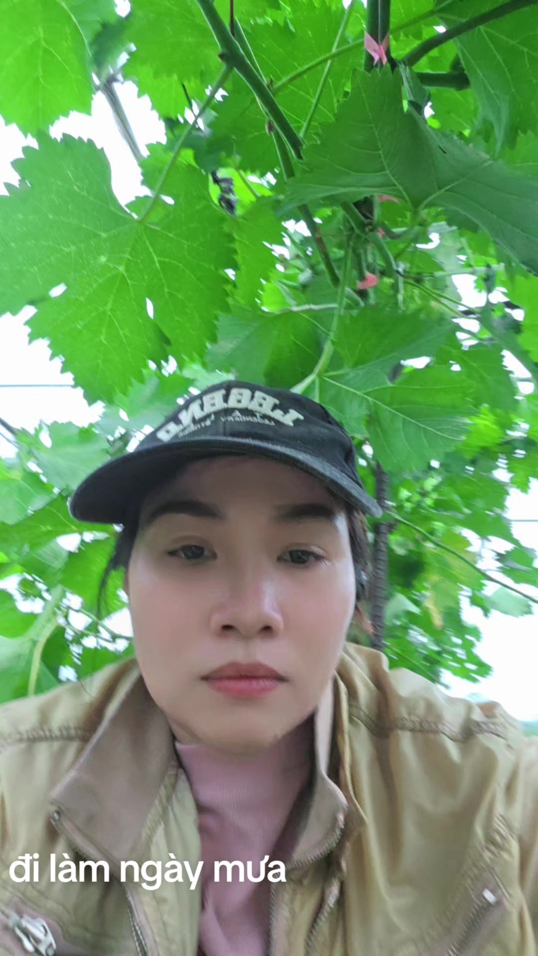 @cố quên tắt cả