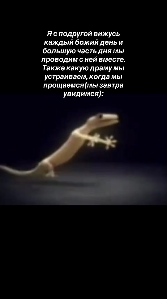 @sevsss007