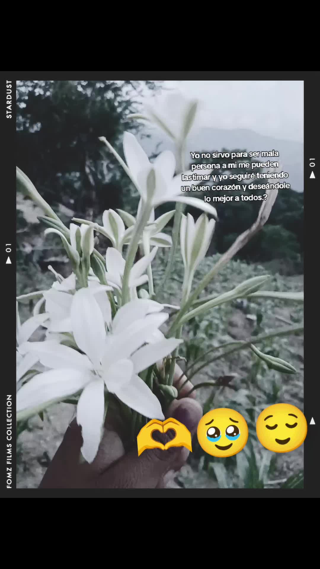 @Marisantiago