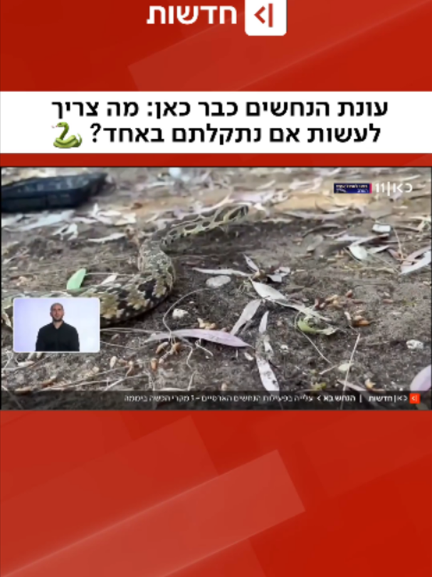 @כאן חדשות