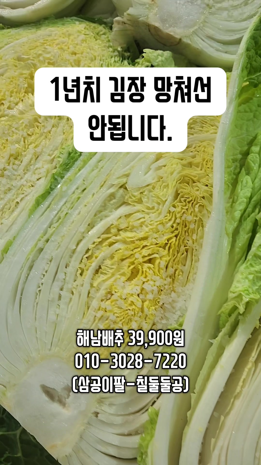@한입의행복
