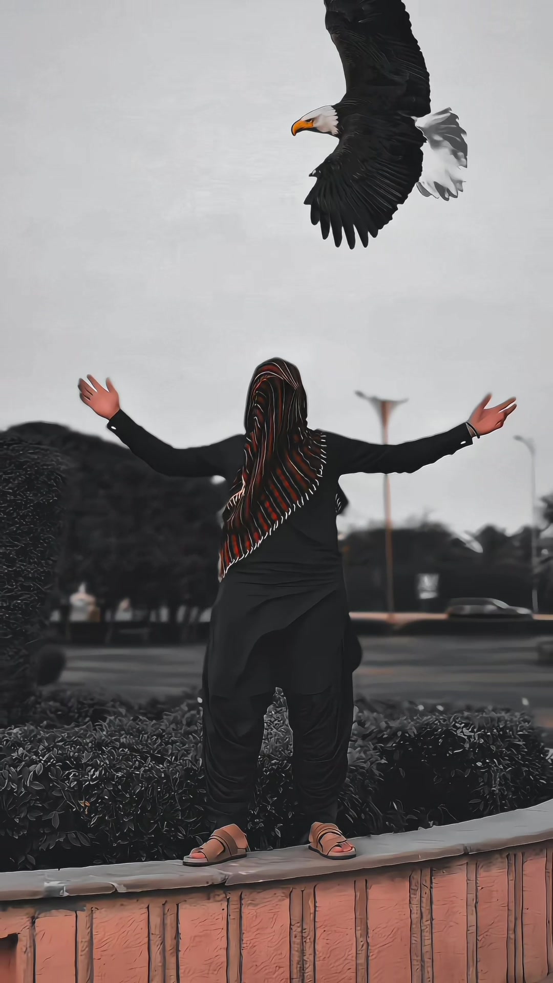 @👑 𝐇𝐄𝐑𝐎 👑