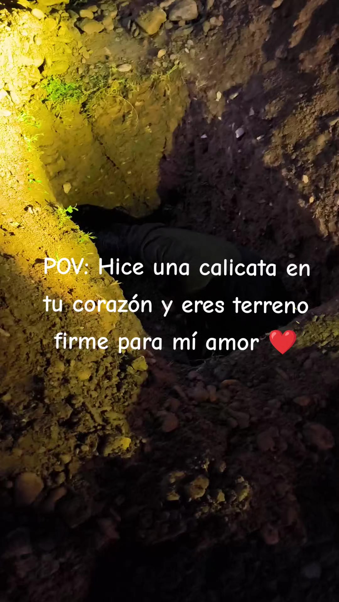 @wal_029