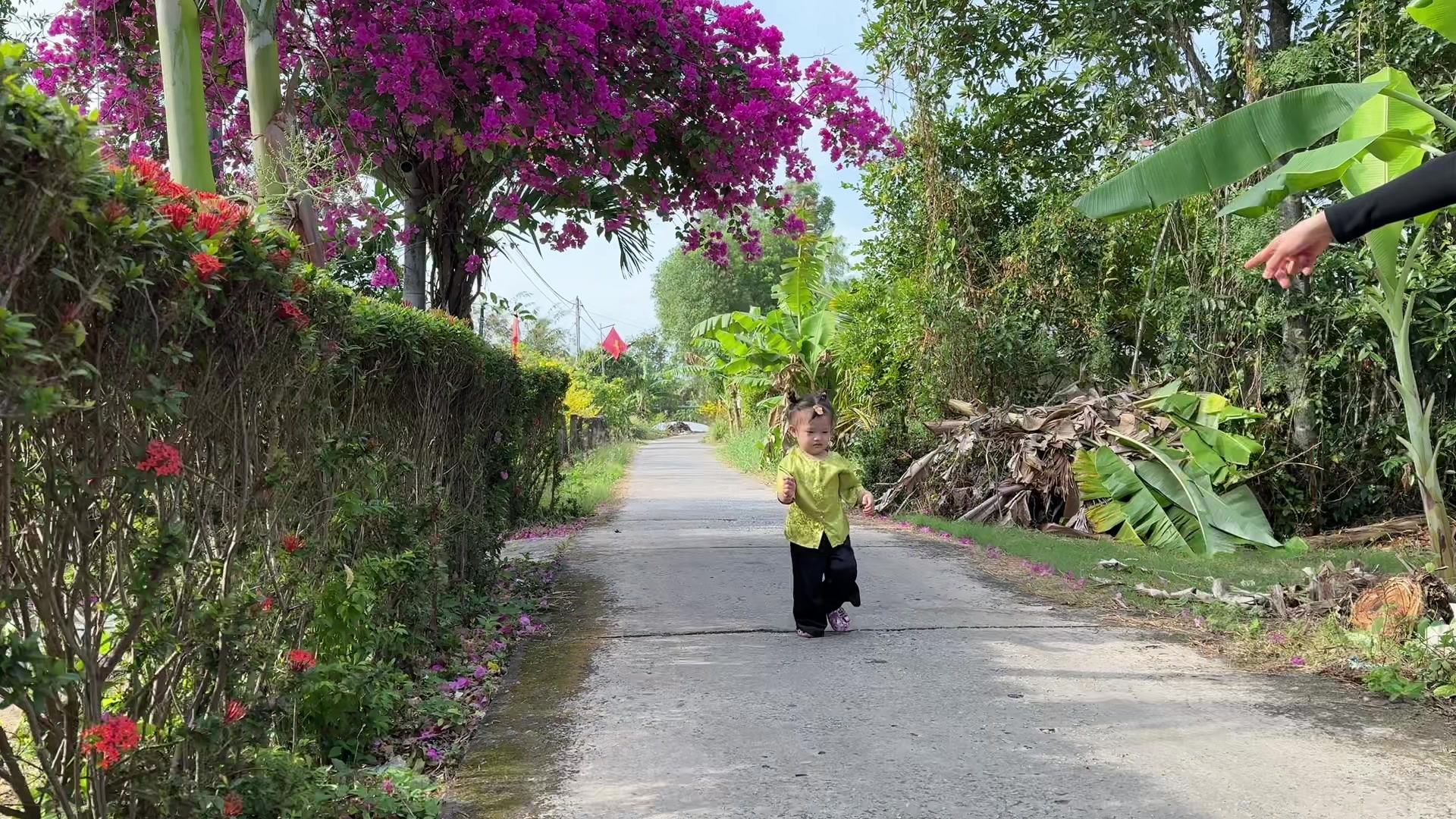@D&acirc;u T&acirc;y 69