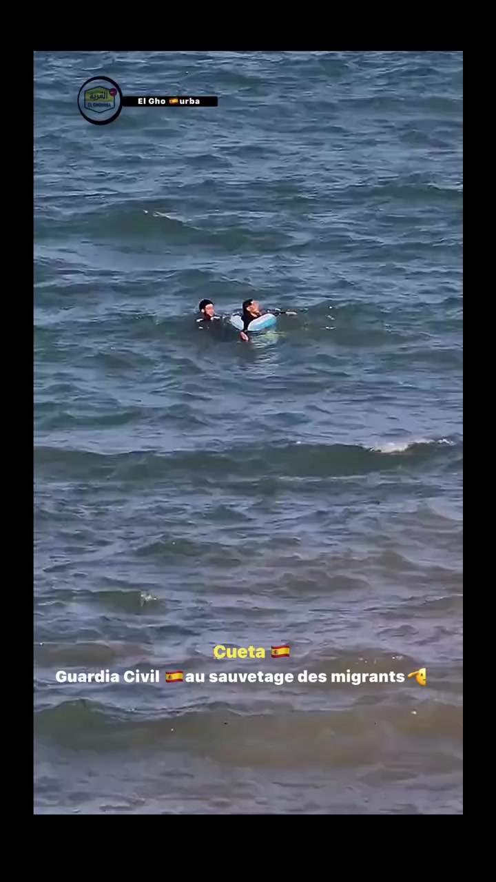 @DiiNa🤍🇪🇺🕊️