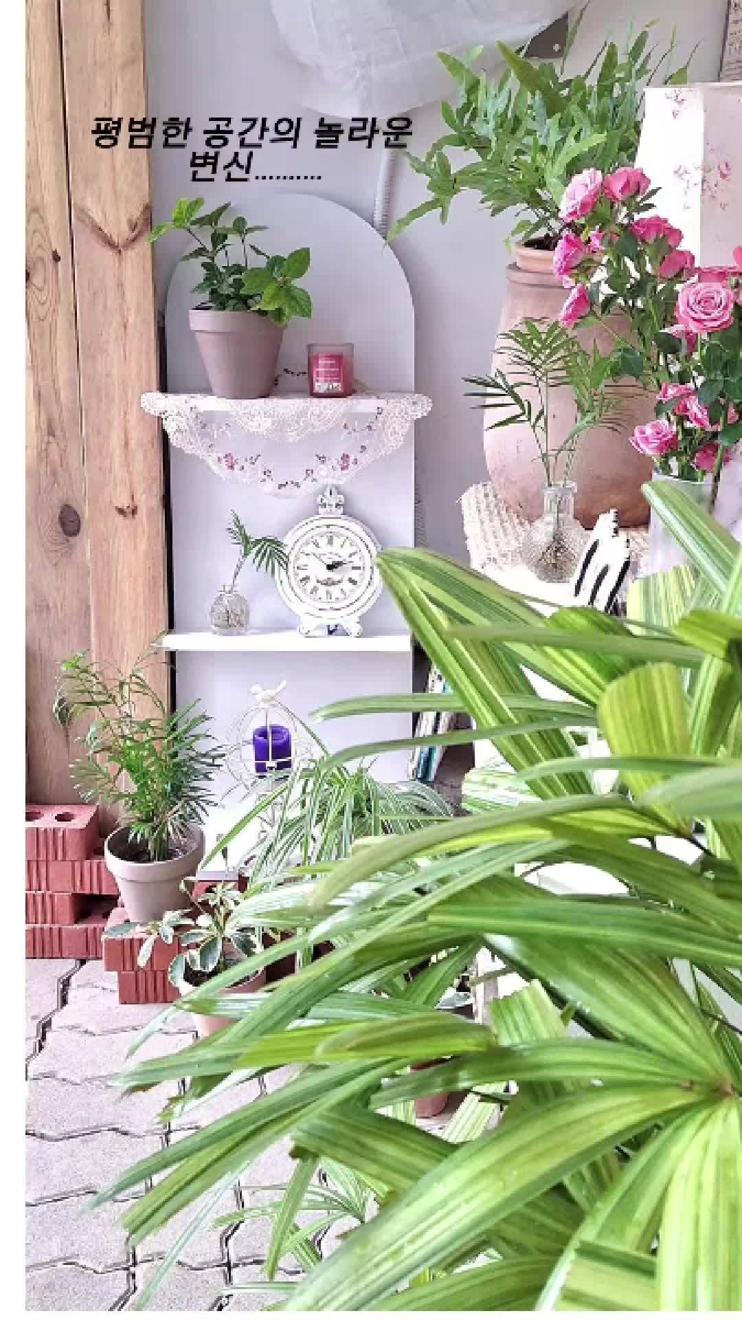 @hayaflower