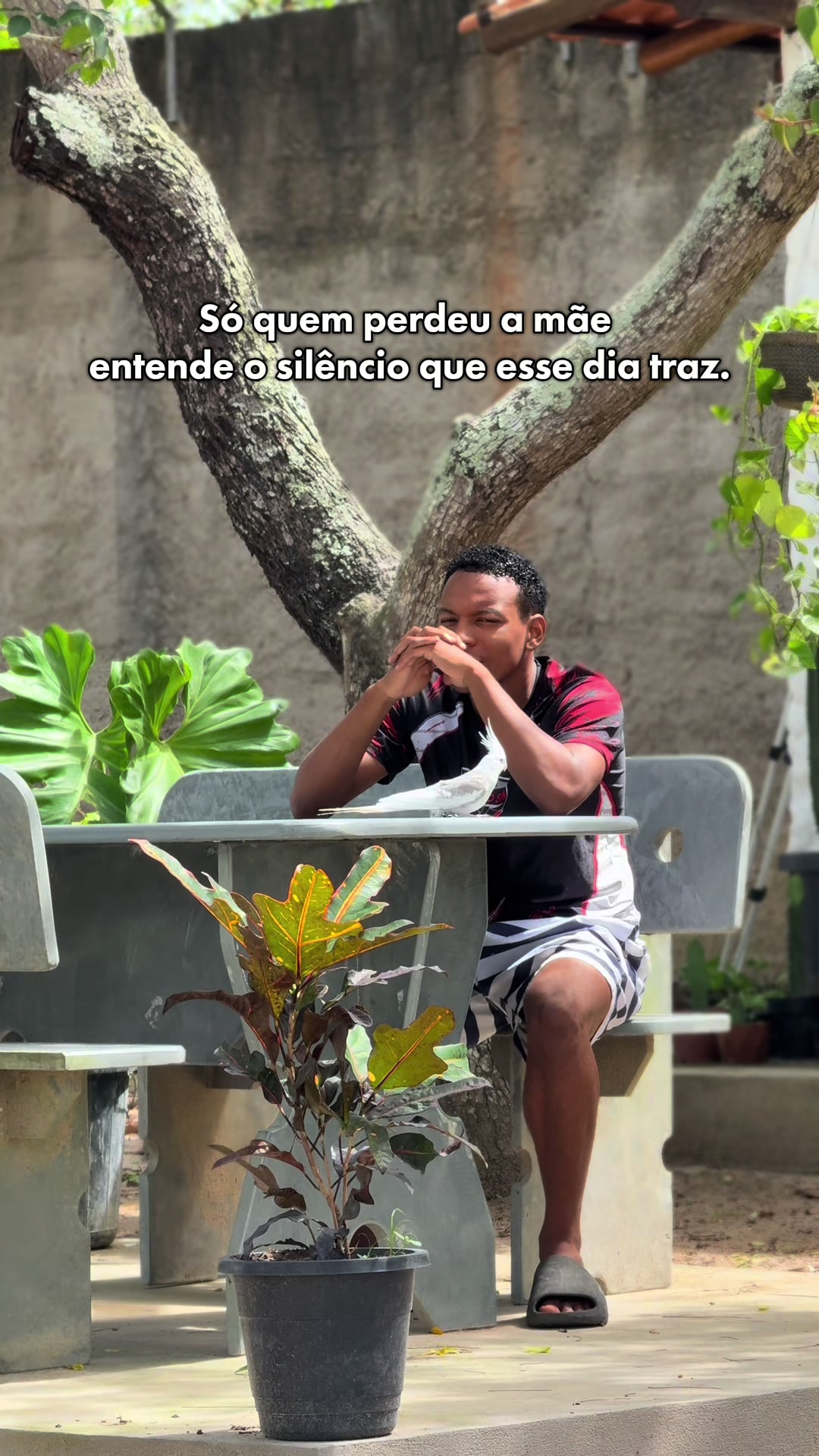 @Renan Barbosa