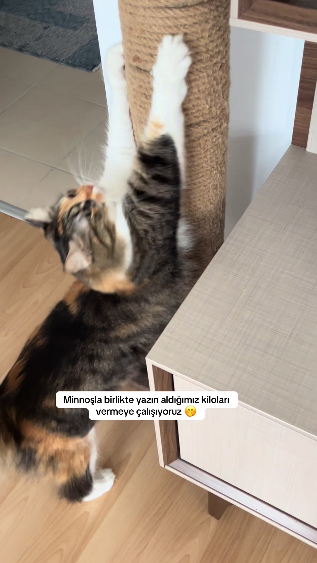 @konusankediminnos