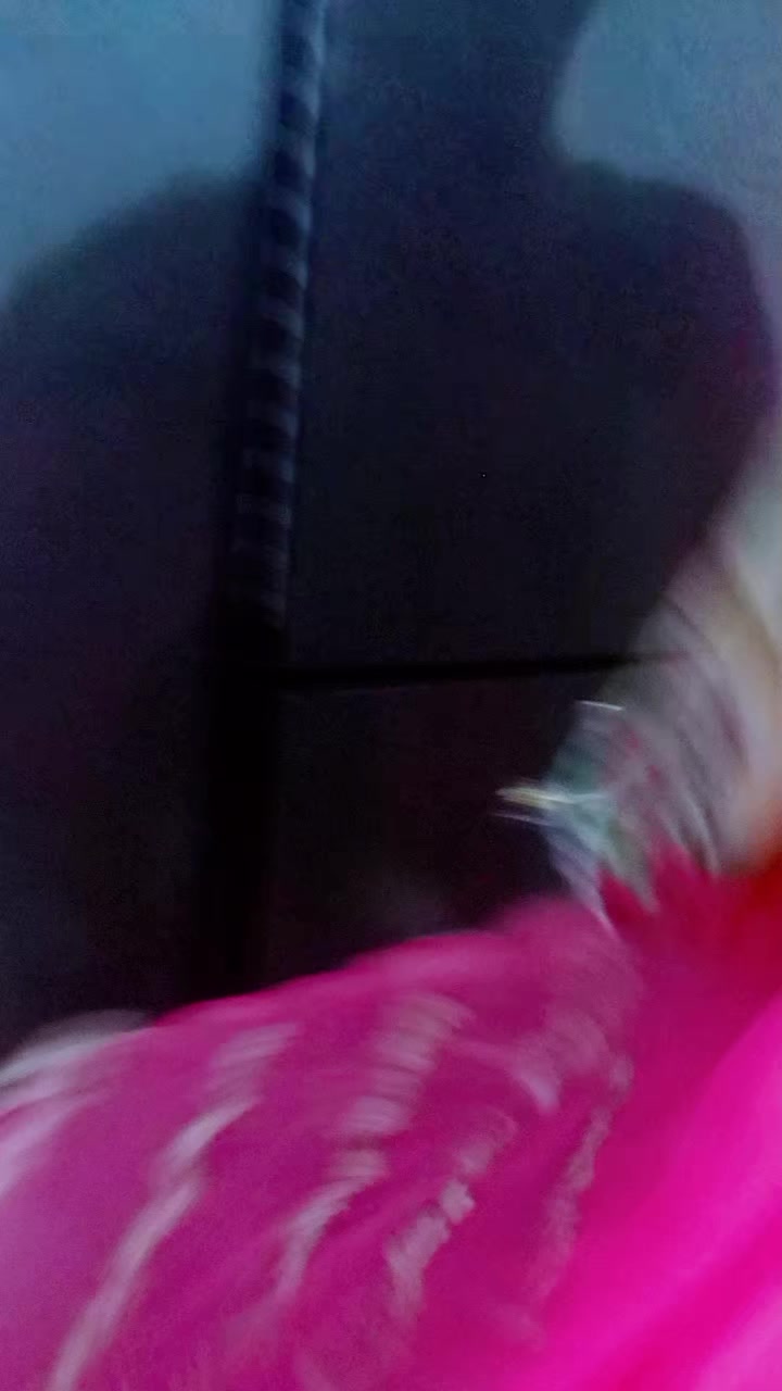 @Anshrajaan