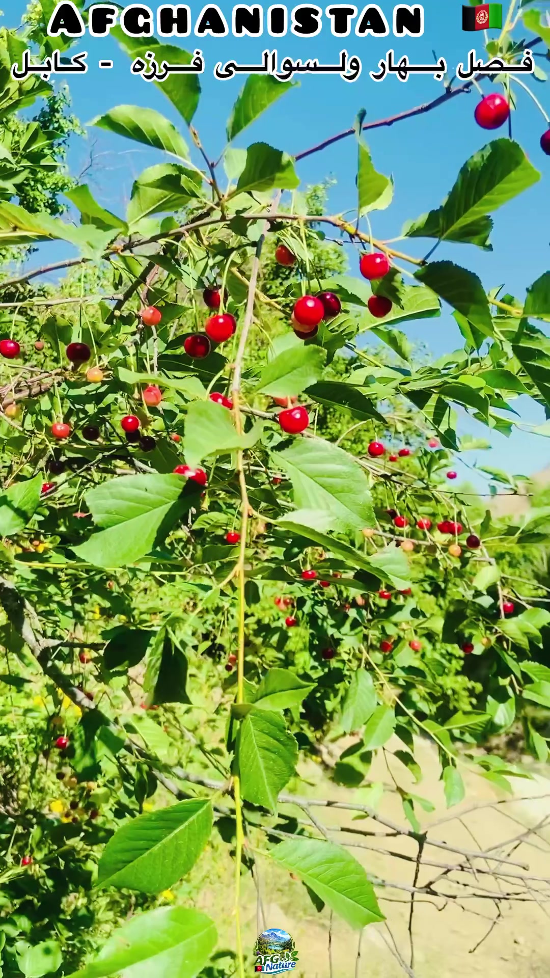 @Afghanistan Nature 🇦🇫
