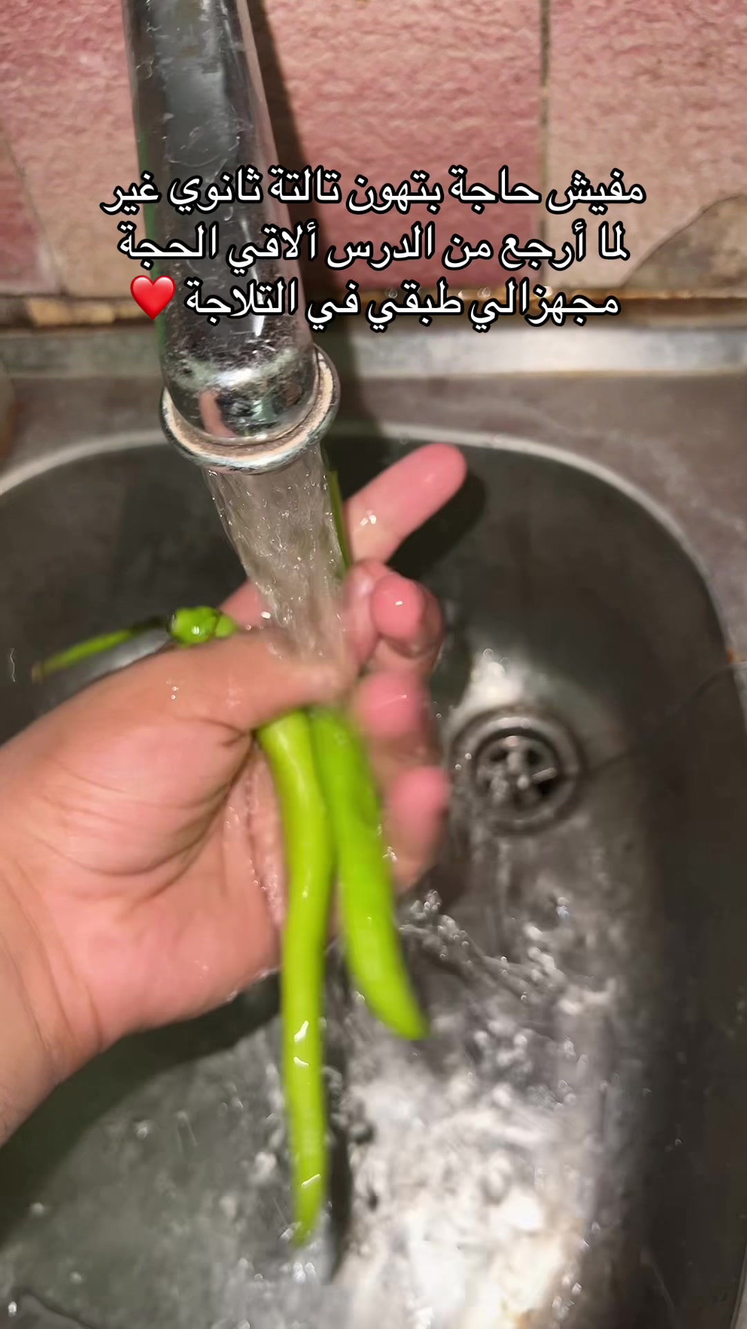 @زيــــ🫅🏻ـــــاد||𝐙𝐄𝐘𝐀𝐃