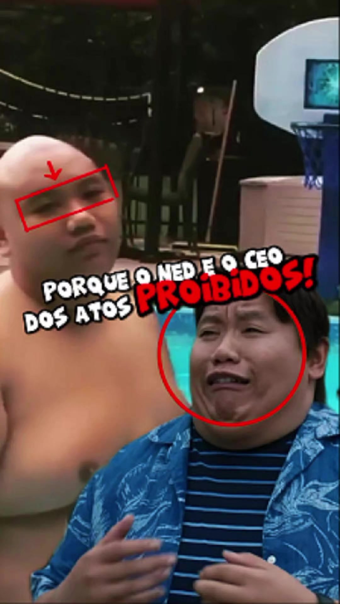 @Montanha_Geek