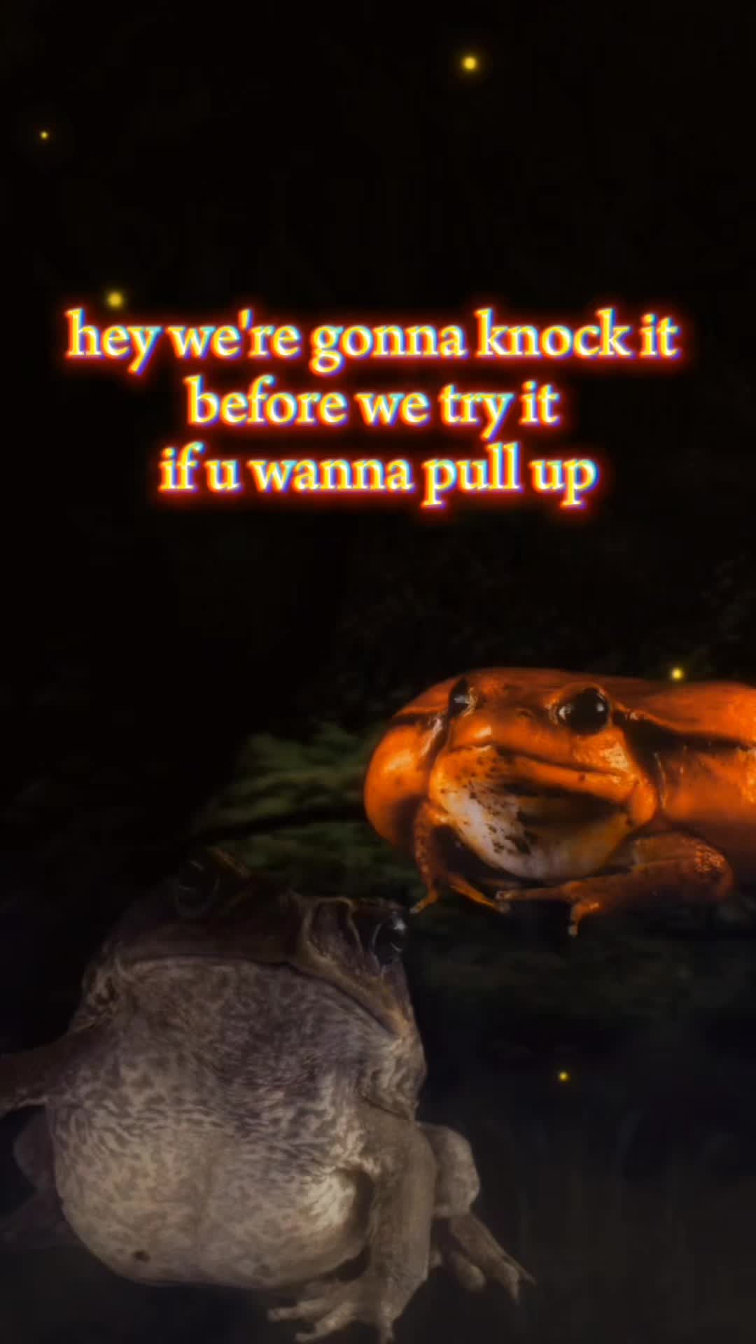 @frogs and autism