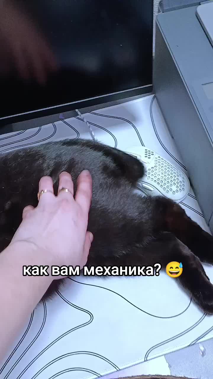 @OSA😈