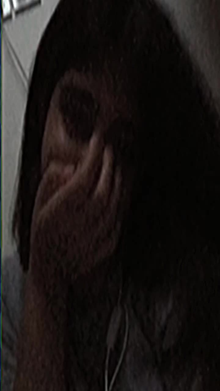 @ᴘᴀɴᴛᴇᴀ