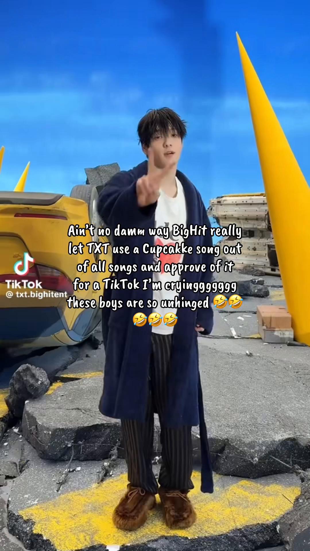 @AtinyOnePieceWolf 🏴☠️ 🐺