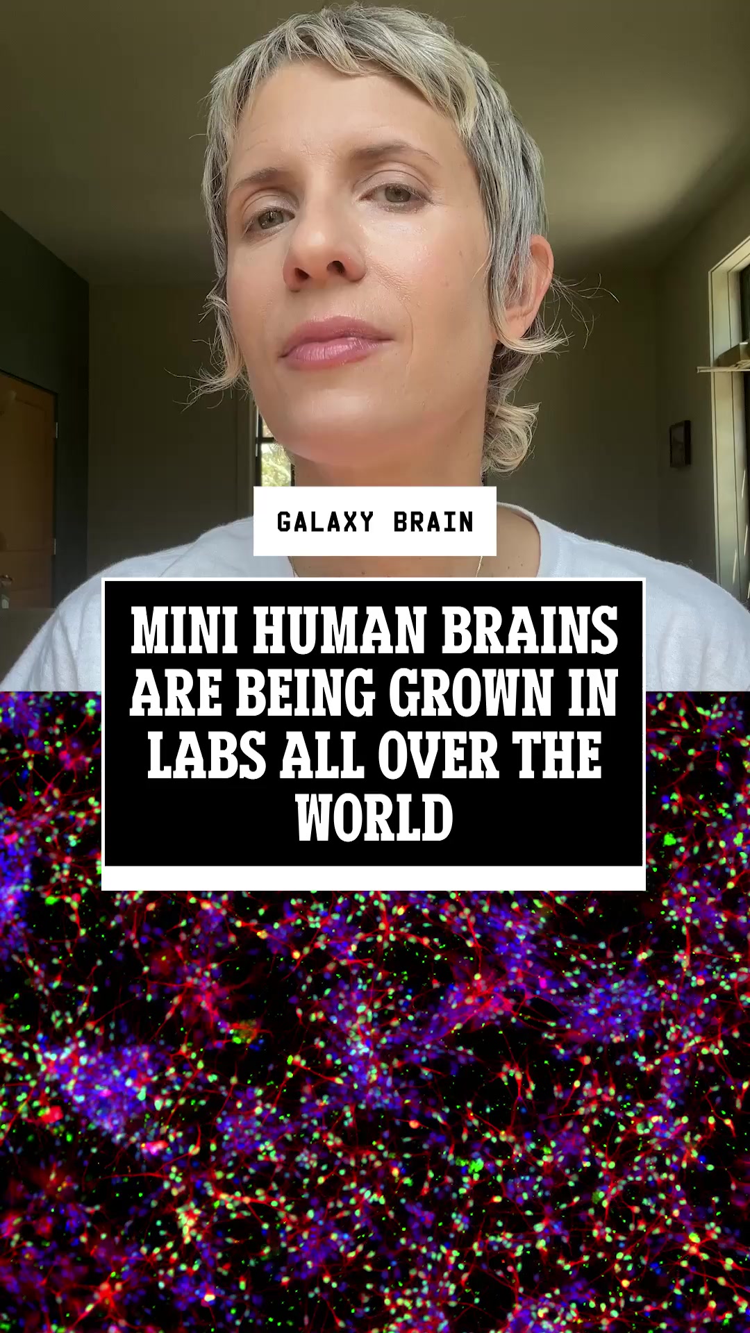 @WIRED.COM