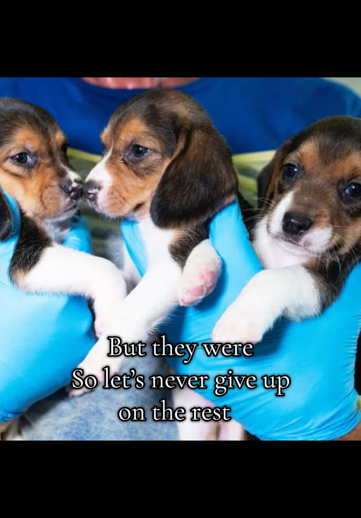 @animalrightsdaily