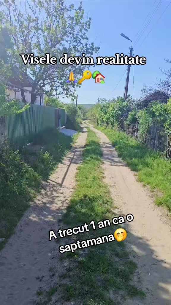 @𝗔𝗻𝗶ș𝗼𝗮𝗿𝗮_B