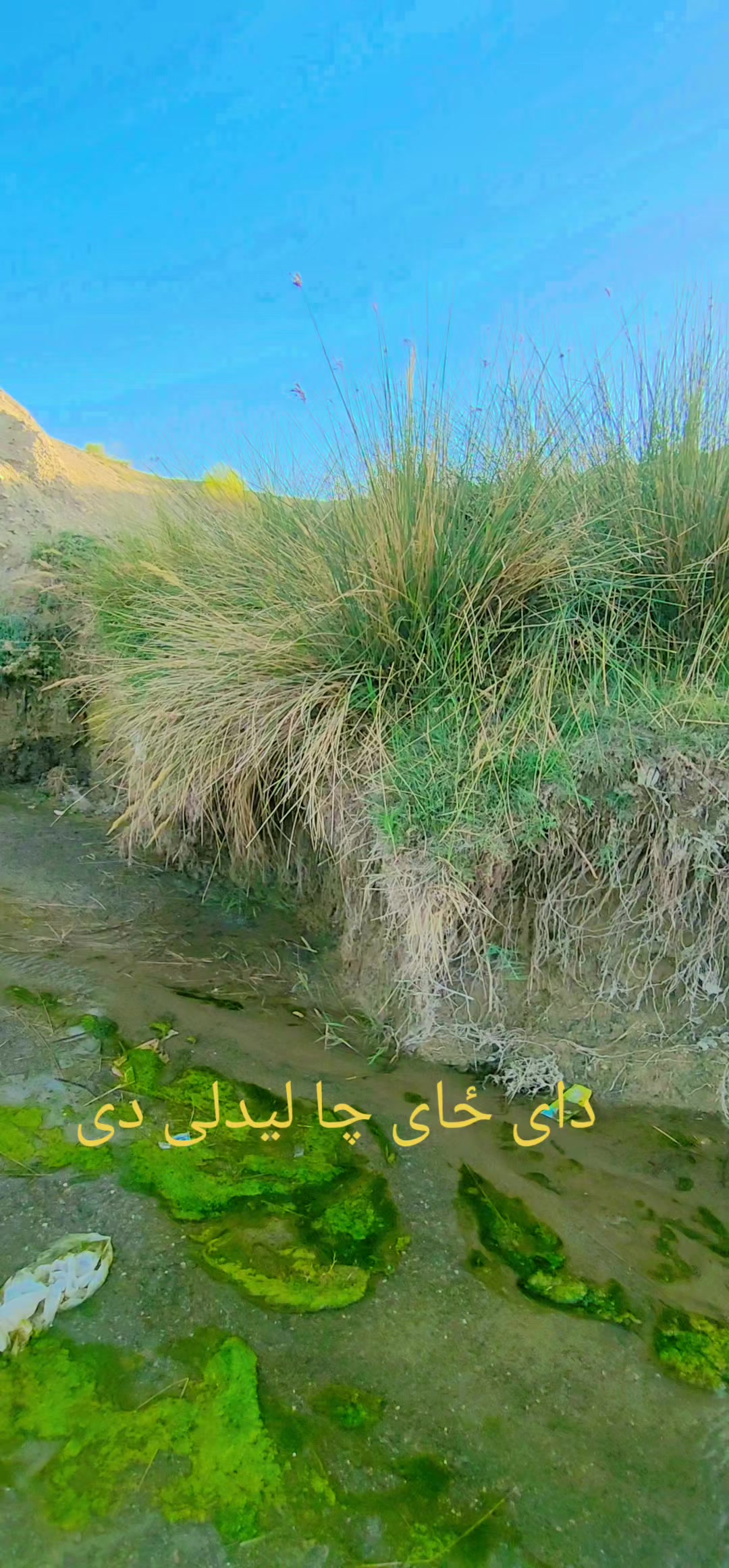 @Mangal samsoor