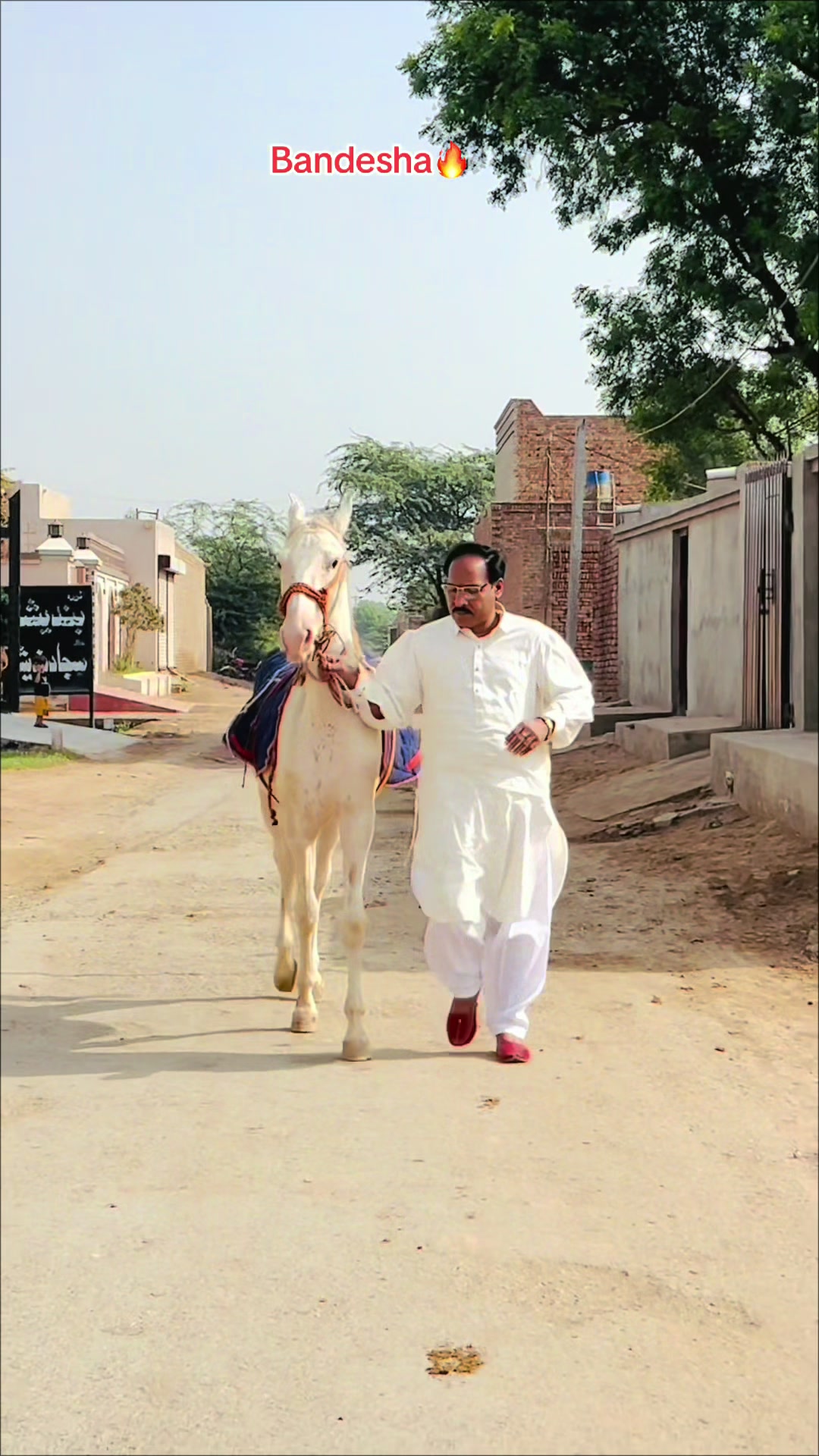 @Sajjad Bandesha