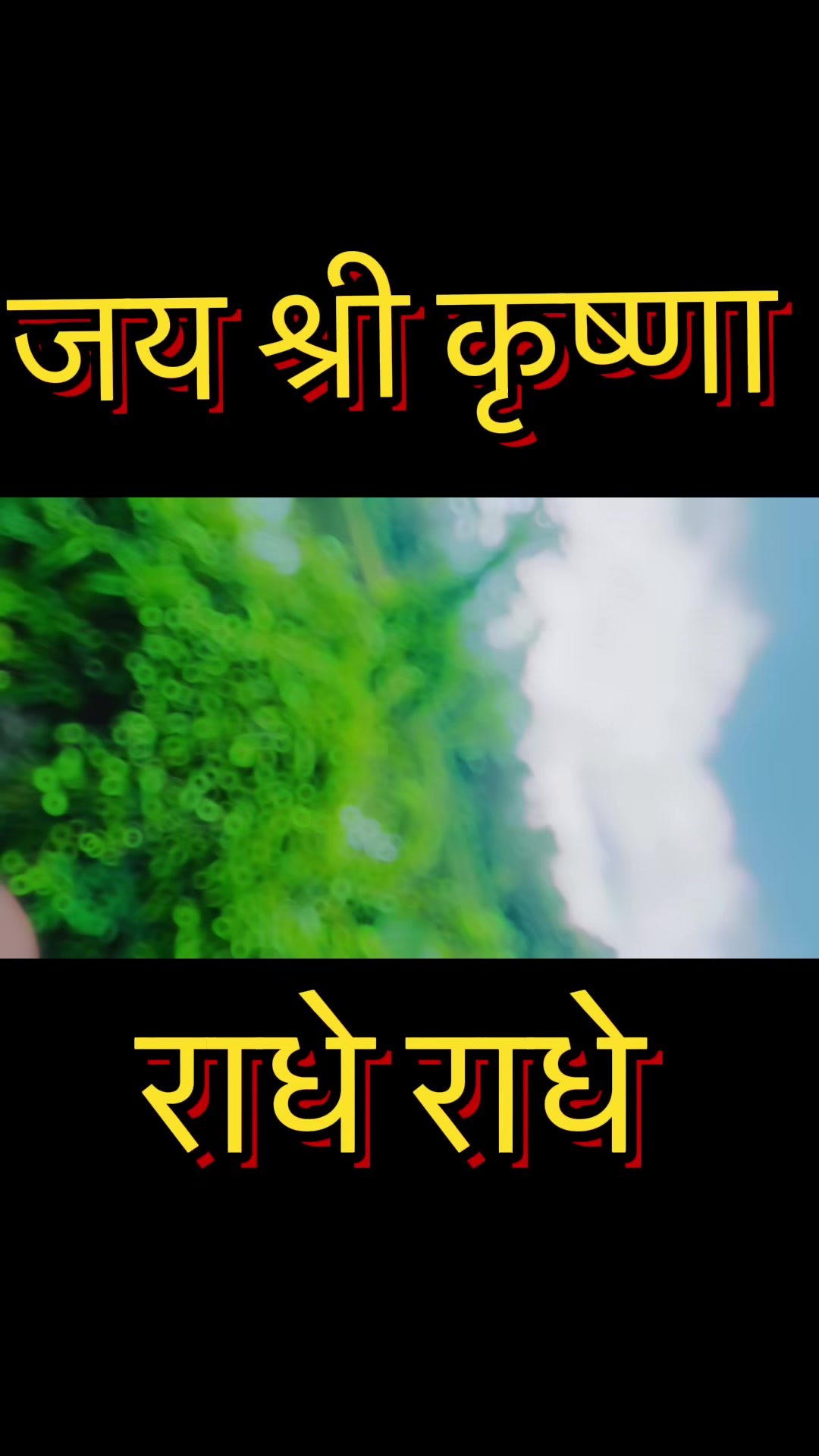 @𝐀𝐮𝐠𝐮𝐬𝐭 𝟏𝟑❦